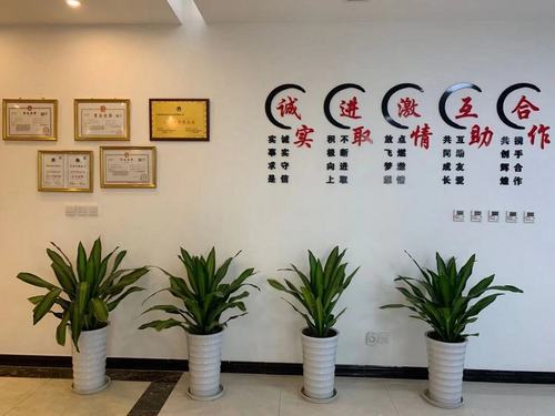 贝斯特商务信息咨询 助力企业决策的专业智慧伙伴
