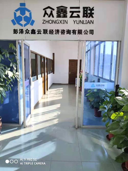 公司经营范围解析 社会经济咨询、税务咨询、财务咨询与商务信息咨询